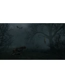 Witch Hunt АВТОДОСТАВКА STEAM РОССИЯ