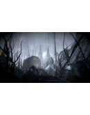 Timore Redo АВТОДОСТАВКА STEAM GIFT RU