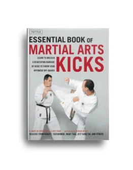 Удары ногами в боевых искусствах