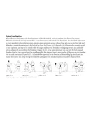 Удары ногами в боевых искусствах