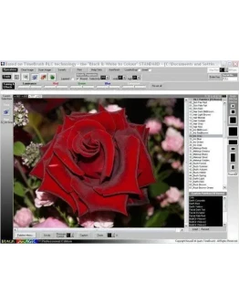 Программа для превращения черно-белых фото в цветные