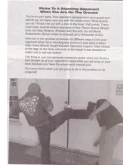 Энциклопедия рукопашного боя Баса Руттена Энциклопедия рукопашного боя Баса Руттена