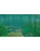 Platypus Adventures АВТОДОСТАВКА STEAM GIFT РОССИЯ