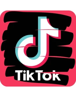 100 Подписчиков TikTok