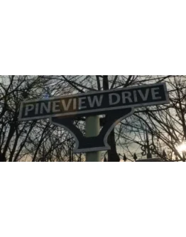 Pineview Drive АВТОДОСТАВКА STEAM GIFT РОССИЯ