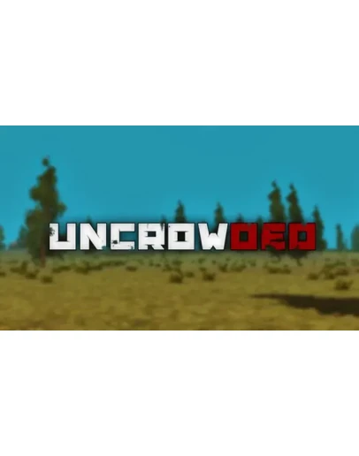 Uncrowded (Steam Gift Region Free / ROW)