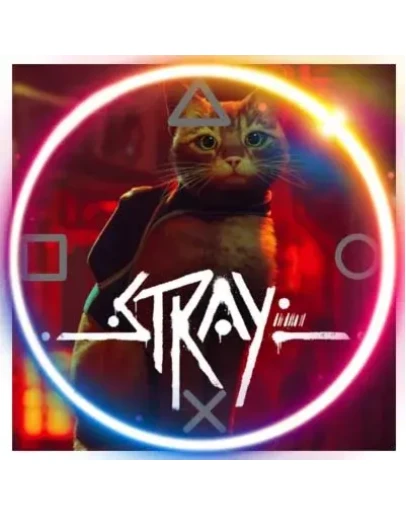 Stray (PS4/PS5/RU) П3 - Активация