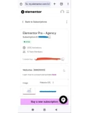 ELEMENTOR PRO ПЛАГИН 1 ГОД // 100 Оригинал