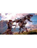 Horizon Zero Dawn Complete Edition PAYPALSTEAM+DLC