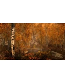 The Elder Scrolls V: Skyrim Anniversary Edition Steam Gift Россия