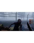 Mist Survival АВТОДОСТАВКА STEAM РОССИЯ