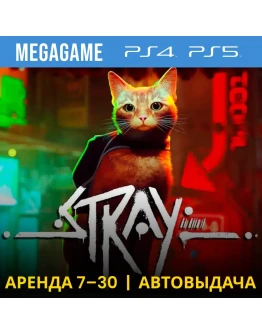 Stray (PS4/PS5/RUS) Аренда 7 дней