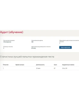 Аудит ответы Синергия МФПУ (ВСЕ ТЕСТЫ)