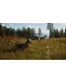 WAY OF THE HUNTER ELITE EDITIONXBOXXSКЛЮЧ