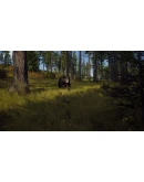 Way of the Hunter: Elite Edition Xbox Series XS