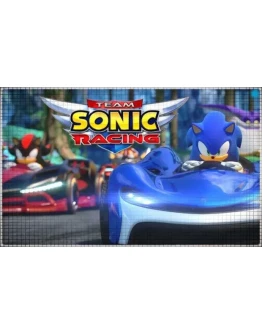 Team Sonic Racing (PS4/PS5/RU) (Аренда от 7 дней)