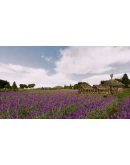 Railway Empire France SteamРФ+Весь МирKey + Бонус Railway Empire France SteamРФ+Весь МирKey + Бонус