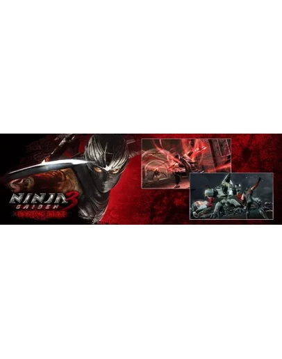 NINJA GAIDEN 3: RE XBOX one Series Xs Покупка
