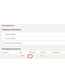 Копирайтинг.Тест Синергия 2022г