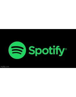 SPOTIFY PREMIUM 1/3/6/12 Ежемесячная ПОДПИСКА - FAST