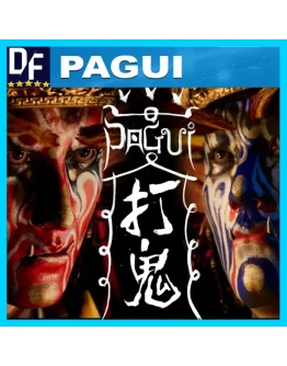 PAGUI STEAM Аккаунт