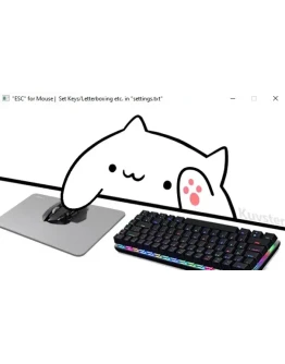 ЗАМЕНА ВЕБКАМЕРЫ НА СТРИМ КОТОМ