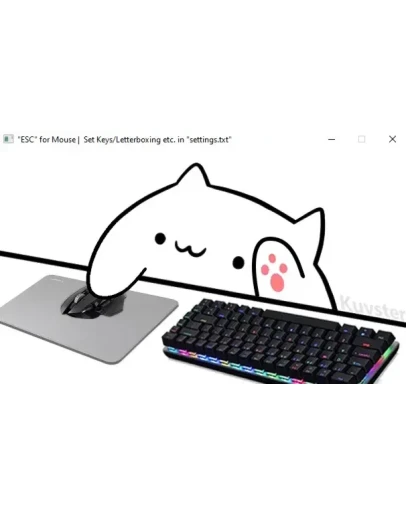 ЗАМЕНА ВЕБКАМЕРЫ НА СТРИМ КОТОМ