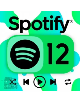 SPOTIFY PREMIUM 1-3-6-12 МЕСЯЦЕВ НА ЛЮБОЙ АККАУНТ