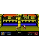 Double Dragon IV (Steam Key GLOBAL)