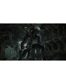 Aliens: Fireteam Elite XBOX + WINDOWS (PC) КЛЮЧ