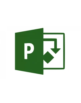 Ключ для Project 2019 Professional 1 пк учётная запись