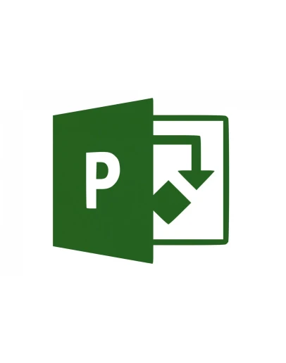 Ключ для Project 2019 Professional 1 пк учётная запись