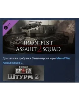 Men of War Assault Squad 2 - Iron Fist DLC STEAM РОССИЯ