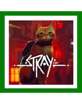 Stray+ 25 ИгрSteam0 КартыАКЦИЯ