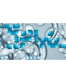 PIP Steam Gift Россия PIP Steam Gift Россия