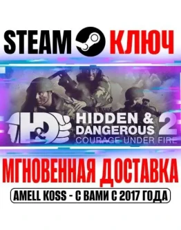 Hidden &amp Dangerous 2: Courage Under Fire Steam Ключ