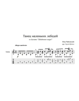Танец маленьких лебедей для гитары