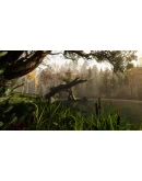 The Land of Pain АВТОДОСТАВКА STEAM GIFT РОССИЯ