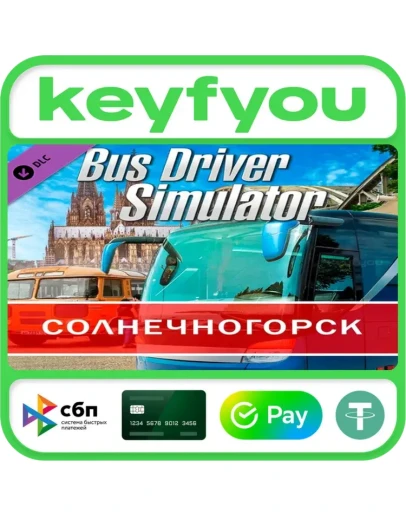 Bus Driver Simulator - Russian Soul / STEAM DLC КЛЮЧ