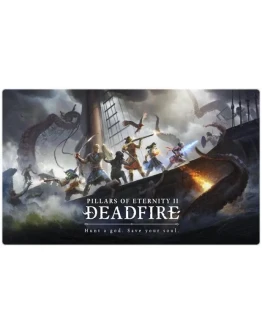 Pillars of Eternity 2 (PS4/PS5/RU) Аренда от 7 дней