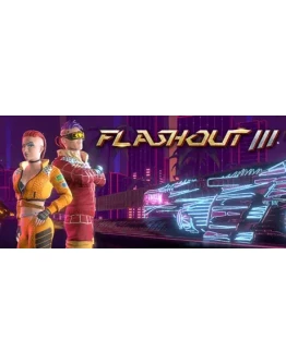 FLASHOUT 3 АВТОДОСТАВКА STEAM GIFT RU