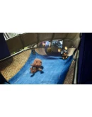 Sackboy: A Big Adventure STEAM BYUA