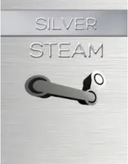 5 СЛУЧАЙНЫХ РАНДОМ СТИМ СЕРЕБРЯНЫХ CD КЛЮЧЕЙ