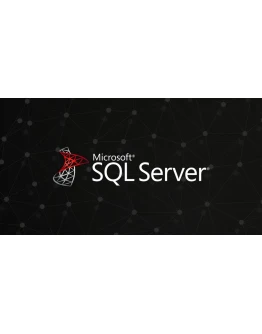 Microsoft SQL Server Standard 2019 (Навсегда)