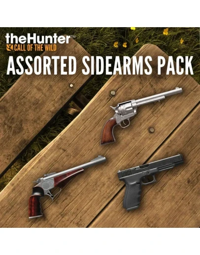 theHunter Call of the Wild - Assorted Sidearms XBOX