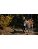 Medieval Dynasty STEAMRU АВТОДОСТАВКА 0