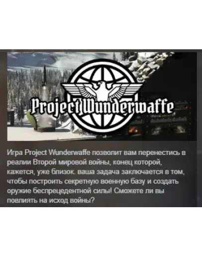 Project Wunderwaffe АВТОДОСТАВКА STEAM РОССИЯ
