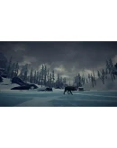 The Long Dark STEAM Offline