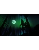 The Long Dark STEAM Offline
