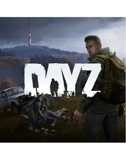 DAYZ STEAM КЛЮЧ
